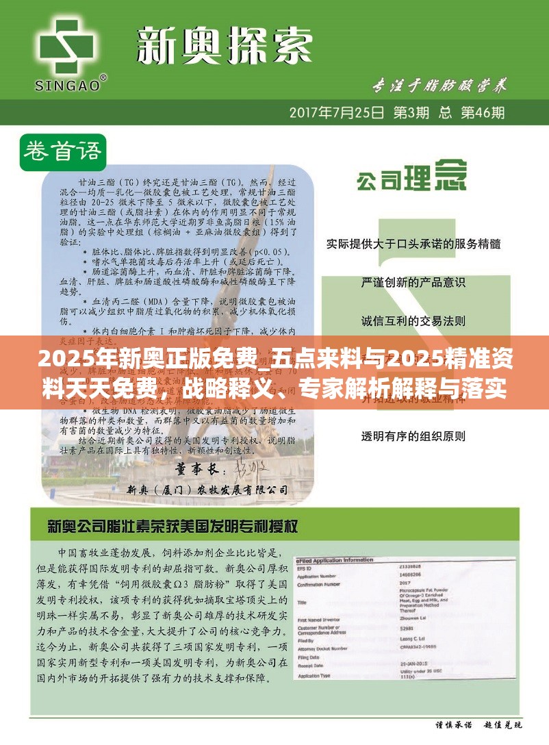 2025年新奥正版免费 第6页