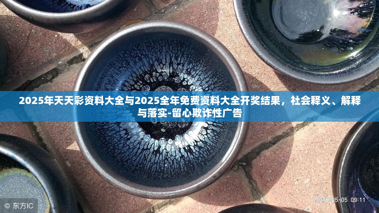 2025年天天彩资料大全与2025全年免费资料大全开奖结果，社会释义、解释与落实-留心欺诈性广告
