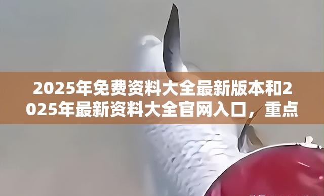 2025年免费资料大全最新版本和2025年最新资料大全官网入口，重点释义、解释与落实,警惕不实的钓鱼钩